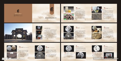 茶韻盡顯 專業茶葉產品畫冊設計圖代理代辦服務