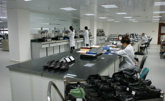 東莞豐信Sedex輔導與房產咨詢 權威專業，助力企業合規與資產增值